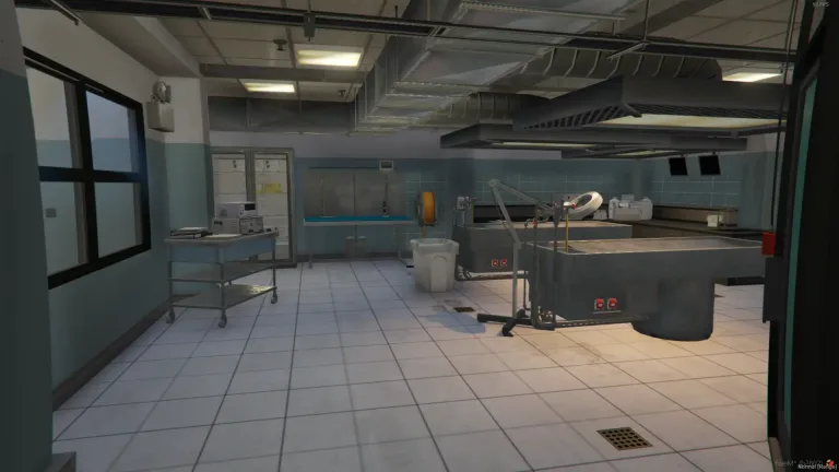 ocean medical center fivem mlo free