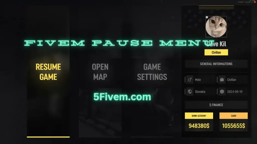 Pause Menu FiveM